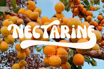 Nectarine Font: a Fresh Design for Modern Projects